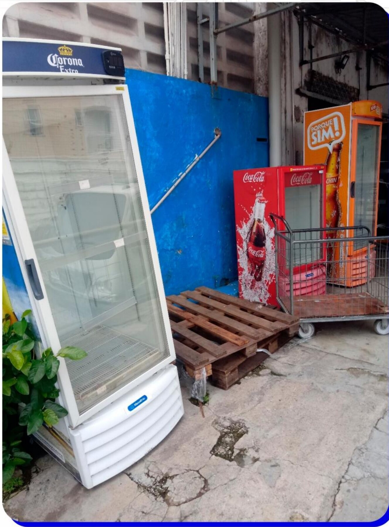 Freezers abandonados